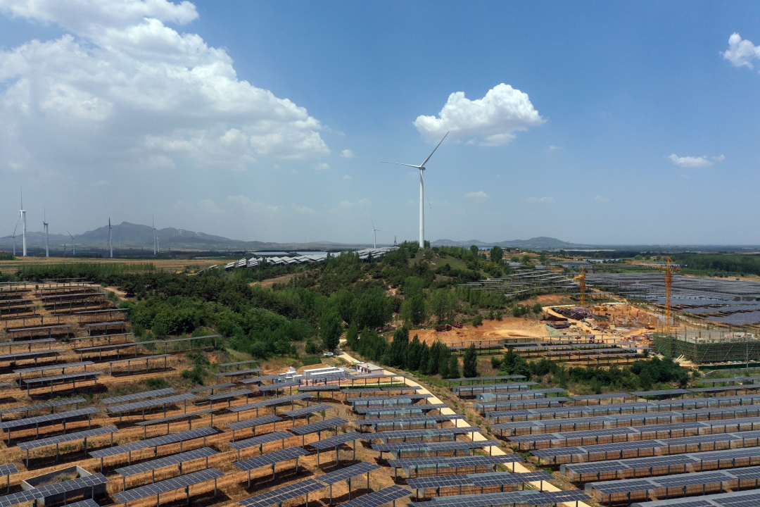 The photovoltaic power generation project in Huangdao District, Qingdao, Shandong province on June 25. Photo: VCG